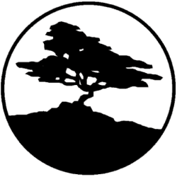 2022 Global Student Challenge